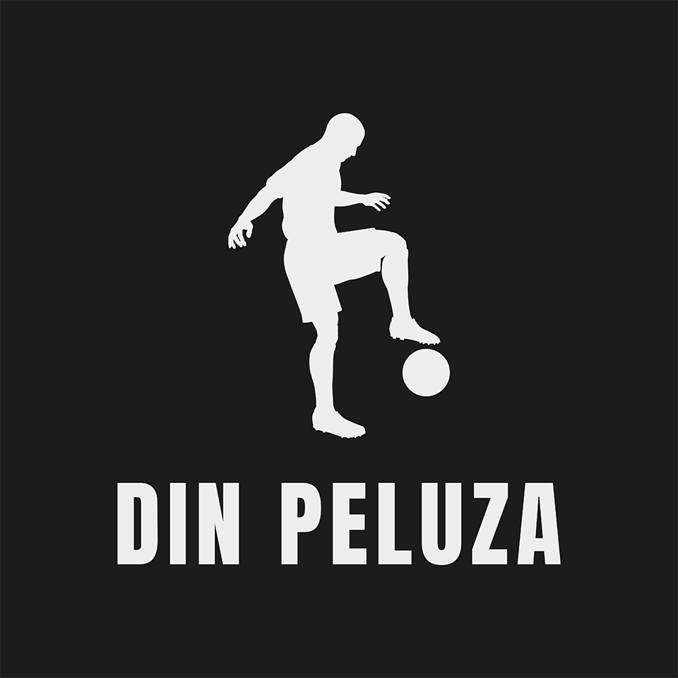 Din Peluza.ro - Logo