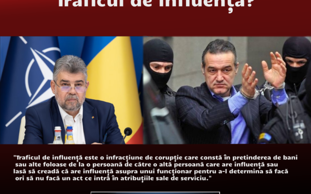 O echipa de succes - Politicul infractorii si presa - Din Peluza -Intre ONOARE si CORUPTIE.